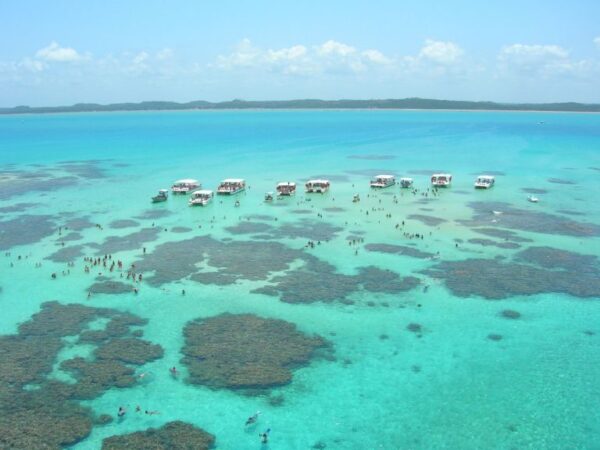 Piscinas Naturais de Maragogi