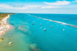 Praia do Francês